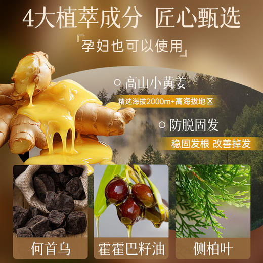 【防脱固发 洗护套装】卓蓝雅经典款生姜防脱控油洗护套装400ml*2 商品图3