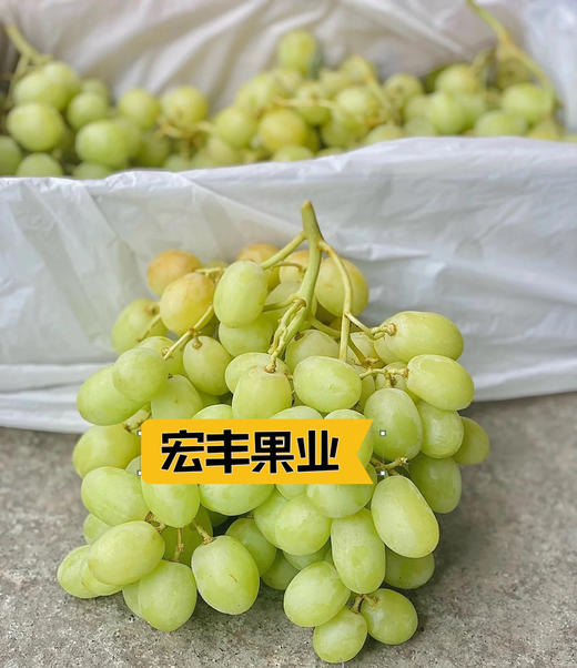 宏丰精选 进口甜地球青提  脆甜爽口  活动价23.8元一斤 商品图11