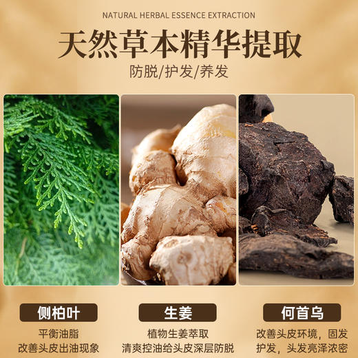 【防脱固发 便携套装】卓蓝雅经典款生姜防脱固发洗护套装250ml*2 商品图1