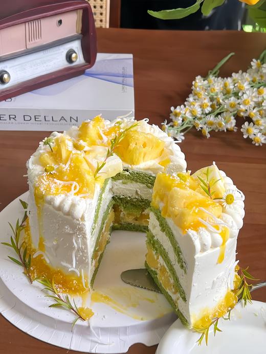 斑斓香椰凤梨 商品图0