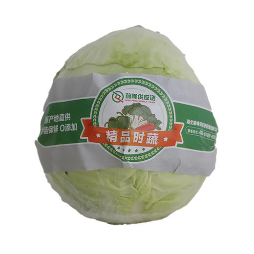 新鲜蔬菜-精品包菜500g 商品图1