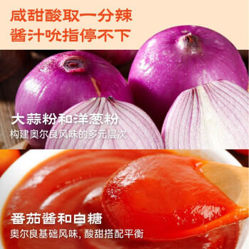 李锦记 拿手菜系列 新奥尔良风味烧烤酱100g  腌制烧烤 调味料 一招胜 商品图0