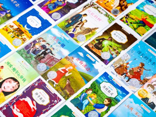 【精美礼盒装】百年国际大奖小说（全24册）24大主题，从世界视角出发，全方位构建孩子成长体系 商品图2