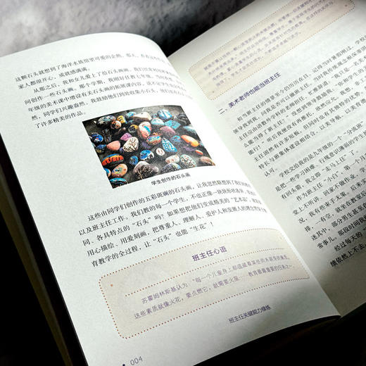 班主任关键能力修炼 从入门到进阶 大夏书系 洪耀伟 班主任成长 商品图9