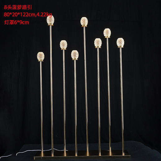 菠萝路引（运费自理） 商品图1