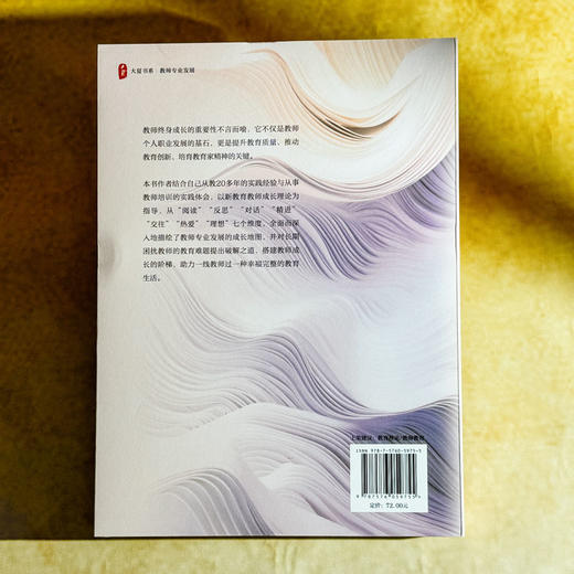 终身成长 教师专业发展指南 大夏书系 郝晓东 新教育实验 商品图2