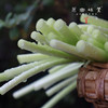 生态酵素蒜苔（基地直发-京东包邮）｜ 2/3斤装，来自四川绵竹，生产者：熊然【合作生产，公平贸易】 商品缩略图8