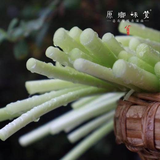 生态酵素蒜苔（基地直发-京东包邮）｜ 2/3斤装，来自四川绵竹，生产者：熊然【合作生产，公平贸易】 商品图8