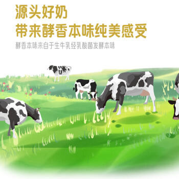 君乐宝 简醇 0蔗糖 150g *16袋  低温酸奶酸牛奶 生鲜健康轻食 商品图0
