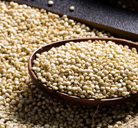 【尚农优牧】白藜麦米颗粒饱满精选白藜2.5KG 商品图2