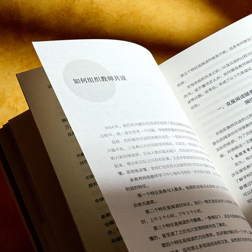 终身成长 教师专业发展指南 大夏书系 郝晓东 新教育实验 商品图9