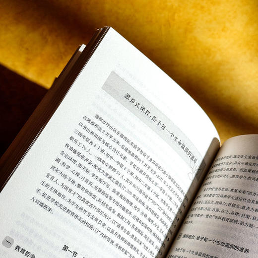 个性化学校课程体系 王琦 课程治理现代化丛书 课程实践案例 商品图13