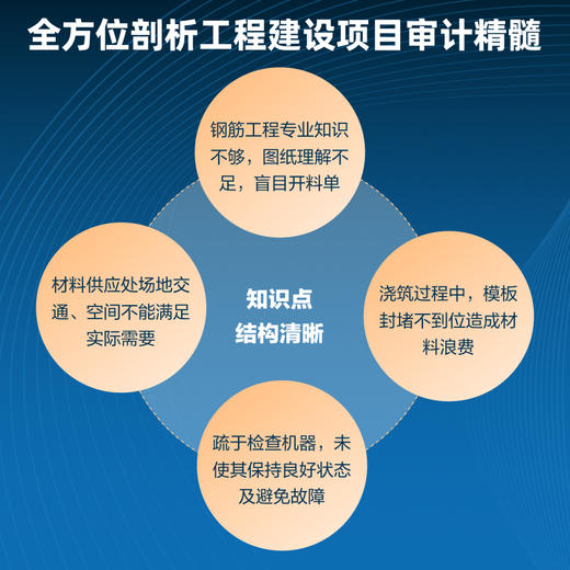 工程建设项目审计详解与实务：实战技巧+条文详解+案例分析 问题分析法律依据整改措施要点分析系统化思维审计会计实战工具书籍 商品图1