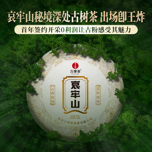 【哀牢山】哀牢山秘境深处古树茶，出场即王炸！首年开采0利润让古粉感受其魅力！性价比之巅，357克/饼 商品图0