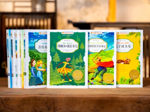 【精美礼盒装】百年国际大奖小说（全24册）24大主题，从世界视角出发，全方位构建孩子成长体系 商品图4
