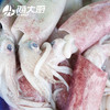海大厨-深海鱿鱼 商品缩略图1