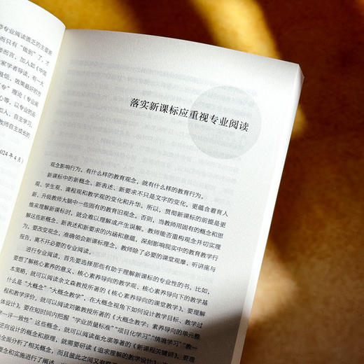终身成长 教师专业发展指南 大夏书系 郝晓东 新教育实验 商品图11