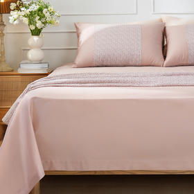 莫兰迪色系列床单睡单枕套纯棉100全棉单人双人高级感四季通用睡单枕套