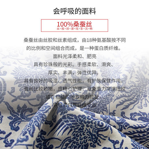 丁摩 国风青花瓷印花短裙夏季女裝小个子桑蚕丝裙子连衣裙女5ZF-46850 商品图2