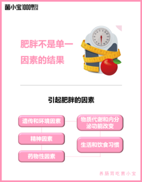 肥胖不是单一因素的结果