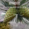 BYREDO柏芮朵 吉普赛之水淡香精香水50ml 流浪者之歌 商品缩略图2