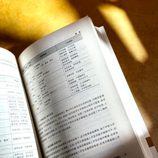 个性化学校课程体系 王琦 课程治理现代化丛书 课程实践案例 商品图11