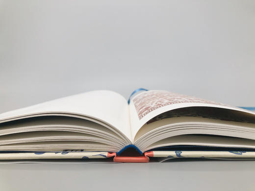 中国纹样（典藏版） 商品图7