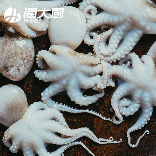 海大厨-精品八爪鱼 商品图2