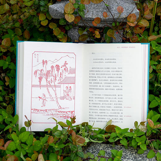 凌濛初批评本二刻拍案惊奇（精装全二册） 商品图7
