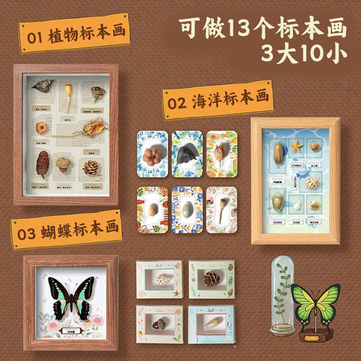 【儿童自然博物馆】小小标本师自然博物馆蝴蝶贝壳植物DIY标本制作 商品图2