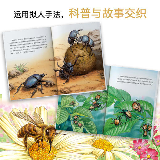 昆虫的奋斗（套装共3册） 商品图4