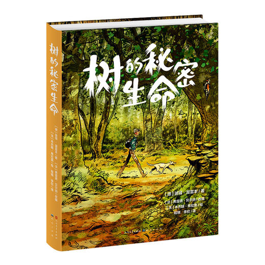 【13岁+】树的秘密生命 商品图0