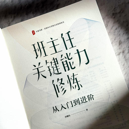 班主任关键能力修炼 从入门到进阶 大夏书系 洪耀伟 班主任成长 商品图5
