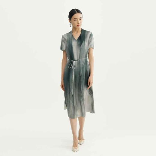 戴布拉芬连衣裙L28B559 商品图1