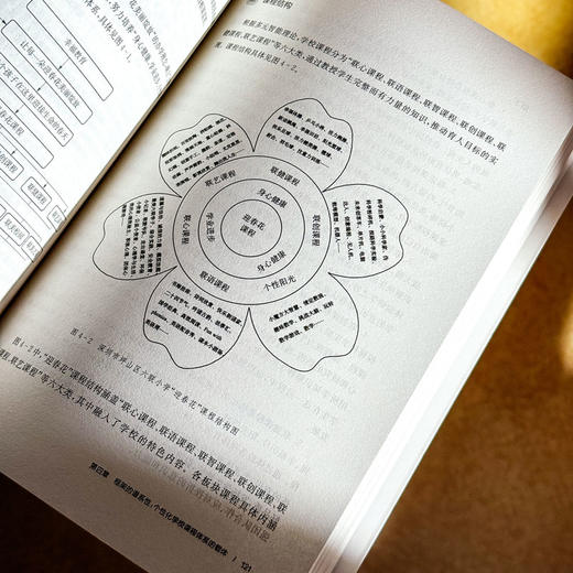 个性化学校课程体系 王琦 课程治理现代化丛书 课程实践案例 商品图12