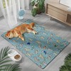 宠物冰垫窝猫咪凉垫夏天防暑冰床垫子狗狗睡觉用凉席夏季降温睡垫 商品缩略图0