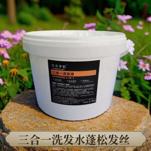 三合一洗发水大包装5斤装深层清洁头皮清爽发丝柔顺 商品图1