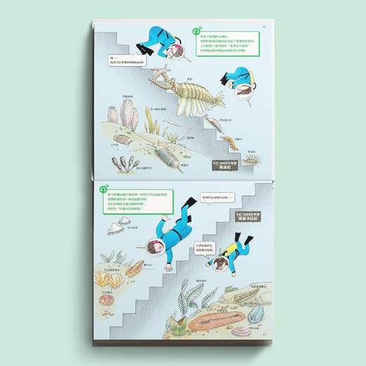 《地球的阶梯》 商品图3