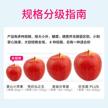 京鲜生 新西兰皇家姬娜苹果迷你加力果5斤装 单果85g起 生鲜水果 商品图1