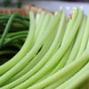 生态酵素蒜苔（基地直发-京东包邮）｜ 2/3斤装，来自四川绵竹，生产者：熊然【合作生产，公平贸易】 商品缩略图5
