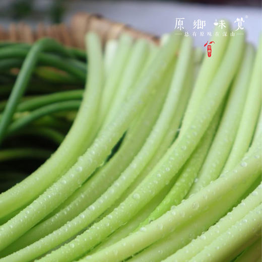 生态酵素蒜苔（基地直发-京东包邮）｜ 2/3斤装，来自四川绵竹，生产者：熊然【合作生产，公平贸易】 商品图5