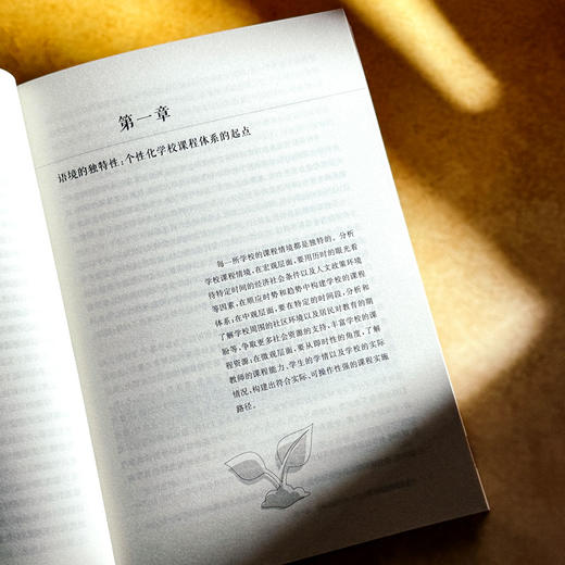 个性化学校课程体系 王琦 课程治理现代化丛书 课程实践案例 商品图7