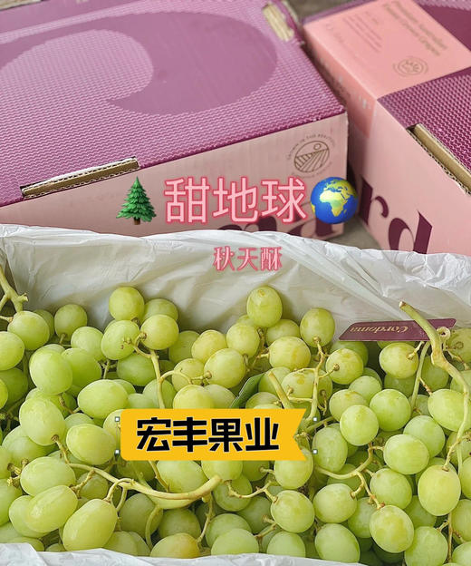 宏丰精选 进口甜地球青提  脆甜爽口  活动价23.8元一斤 商品图10