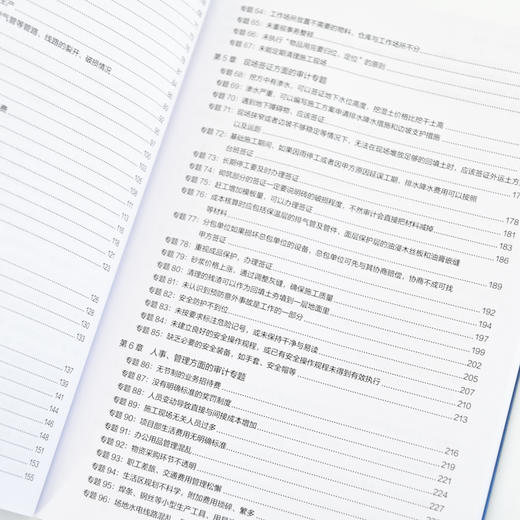 工程建设项目审计详解与实务：实战技巧+条文详解+案例分析 问题分析法律依据整改措施要点分析系统化思维审计会计实战工具书籍 商品图3