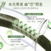 （积分兑换）章华小麦精华发膜500ml东来同款2.0升级版-8150 商品缩略图6