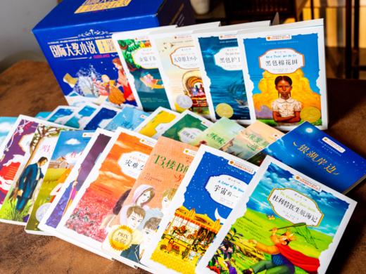 【精美礼盒装】百年国际大奖小说（全24册）24大主题，从世界视角出发，全方位构建孩子成长体系 商品图3