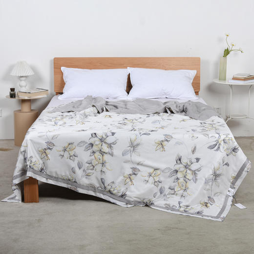 臻美天丝夏被 商品图0