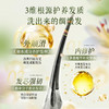 【洗护合一】生姜复活草经典款洗发水400ml/800ml（6号） 商品缩略图2