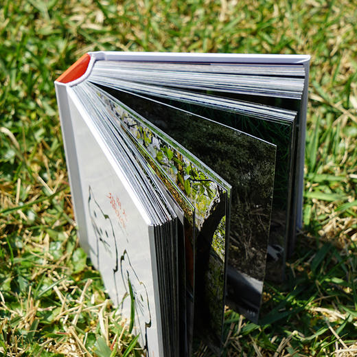 《南大猫先生》    南大“鼓楼猫”“仙林猫”大汇集 “猫粉”们随时“吸猫”的陪伴型“口袋书” 商品图5