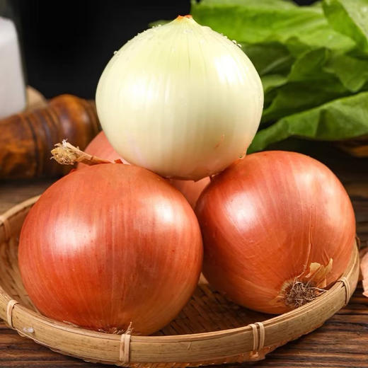 元谋黄皮洋葱 商品图0